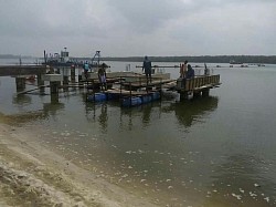 Jetty Site